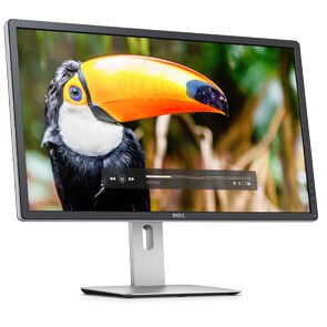 Dell 28 Ultra HD Monitor | P2815Q | Dell St. Kitts & Nevis