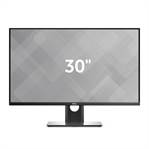 Dell UltraSharp 30 OLED Monitor | UP3017Q