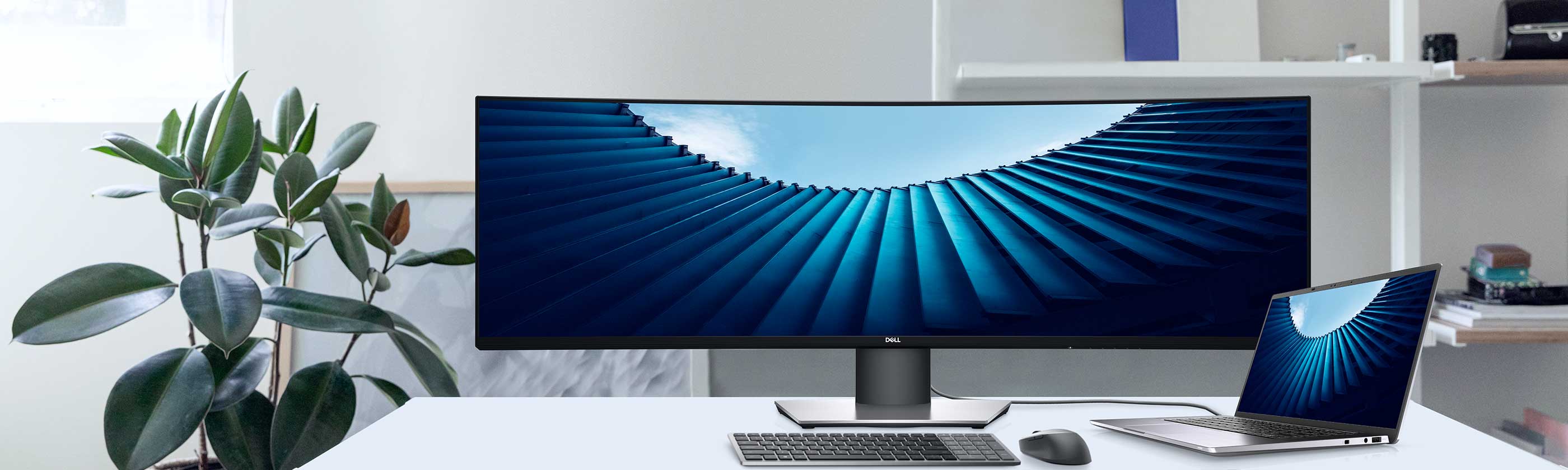 Monitor Buying Guide Dell USA