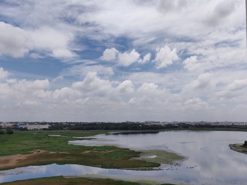 Bellandur-lake-800x600
