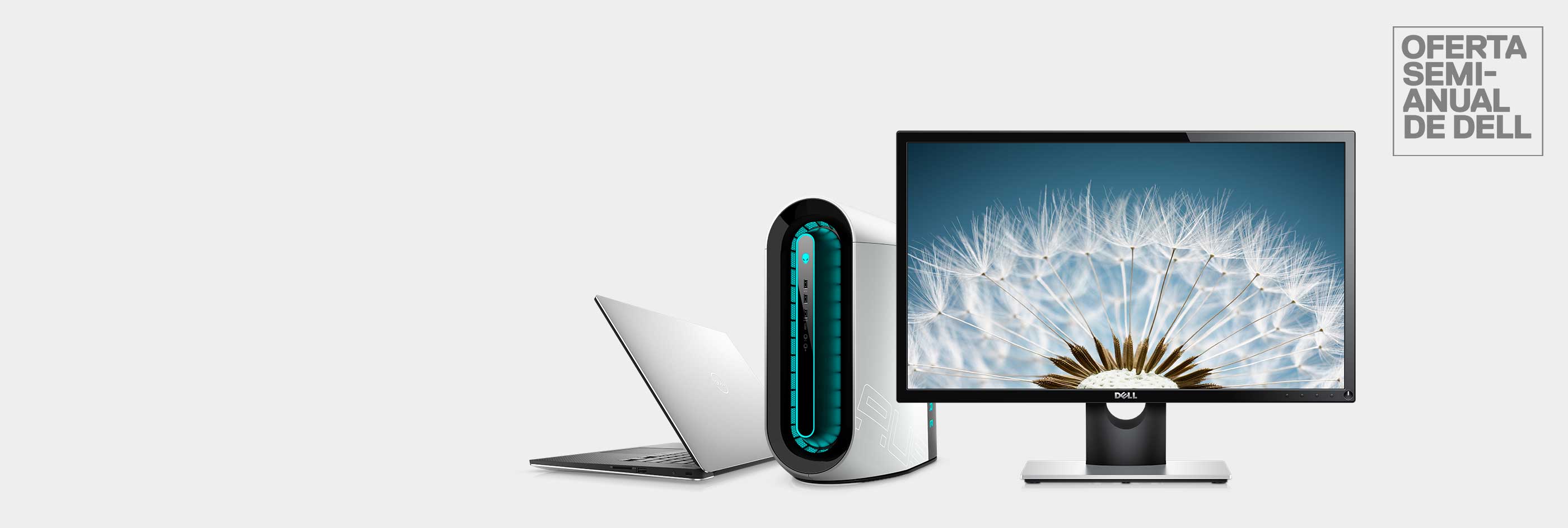 Oferta semianual de Dell