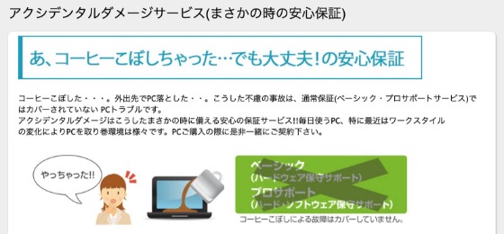 アクシデンタルダメージ