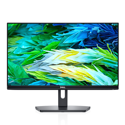 Dell 22 Monitor SE2219H