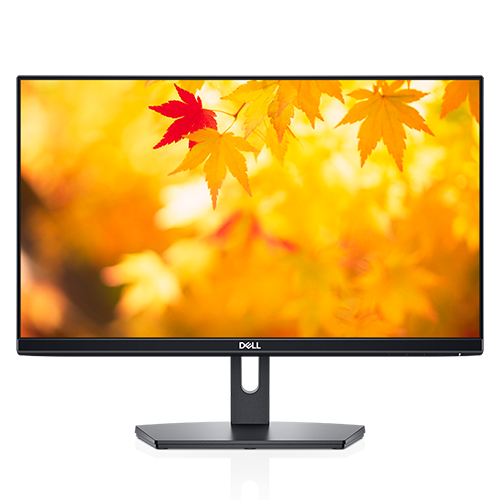 Dell 22 Monitor: SE2219H