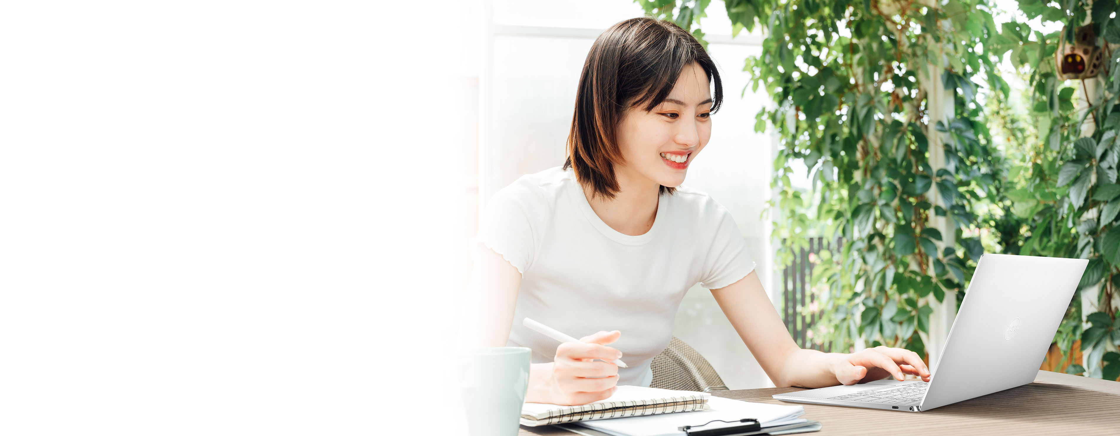 DELL limited time offer