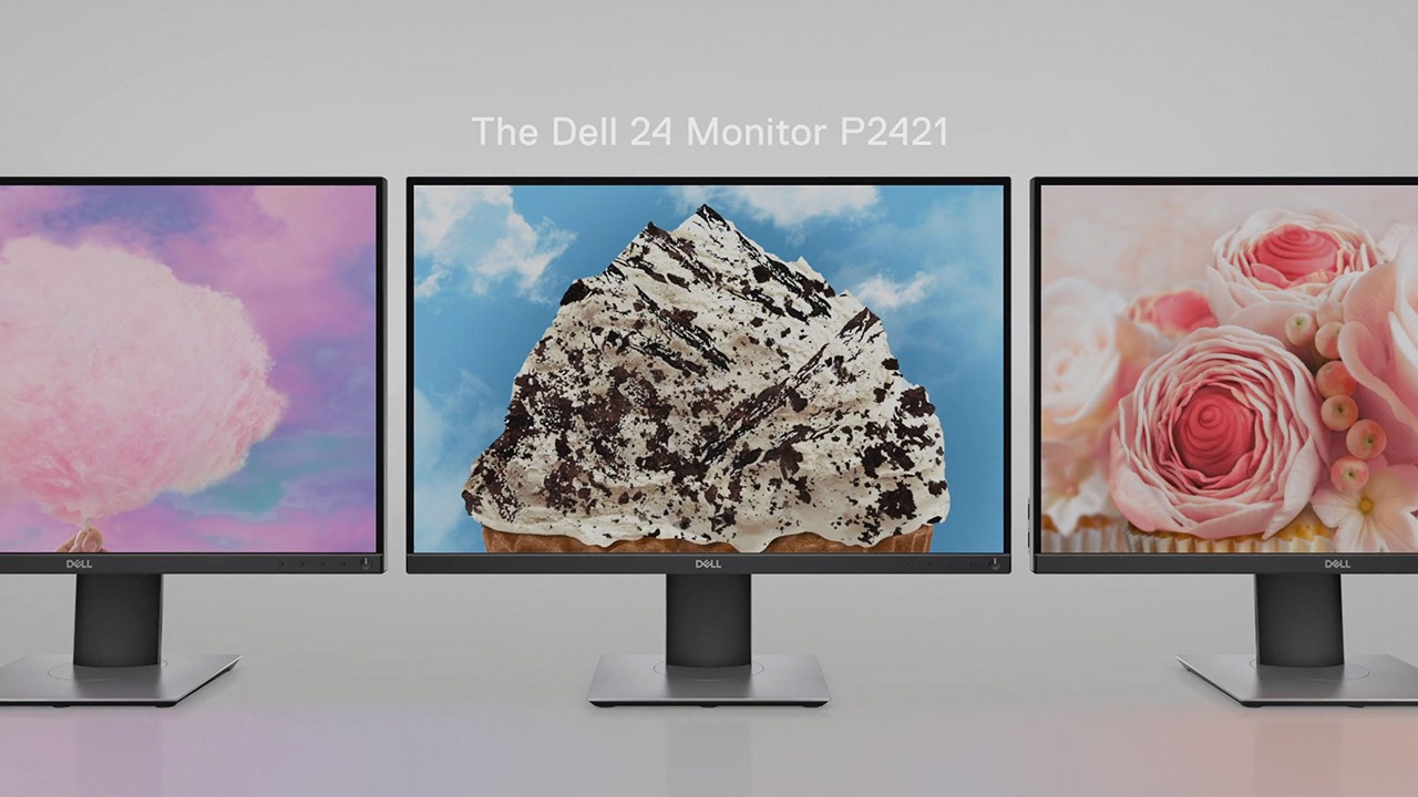The Dell 24 Monitor P2421