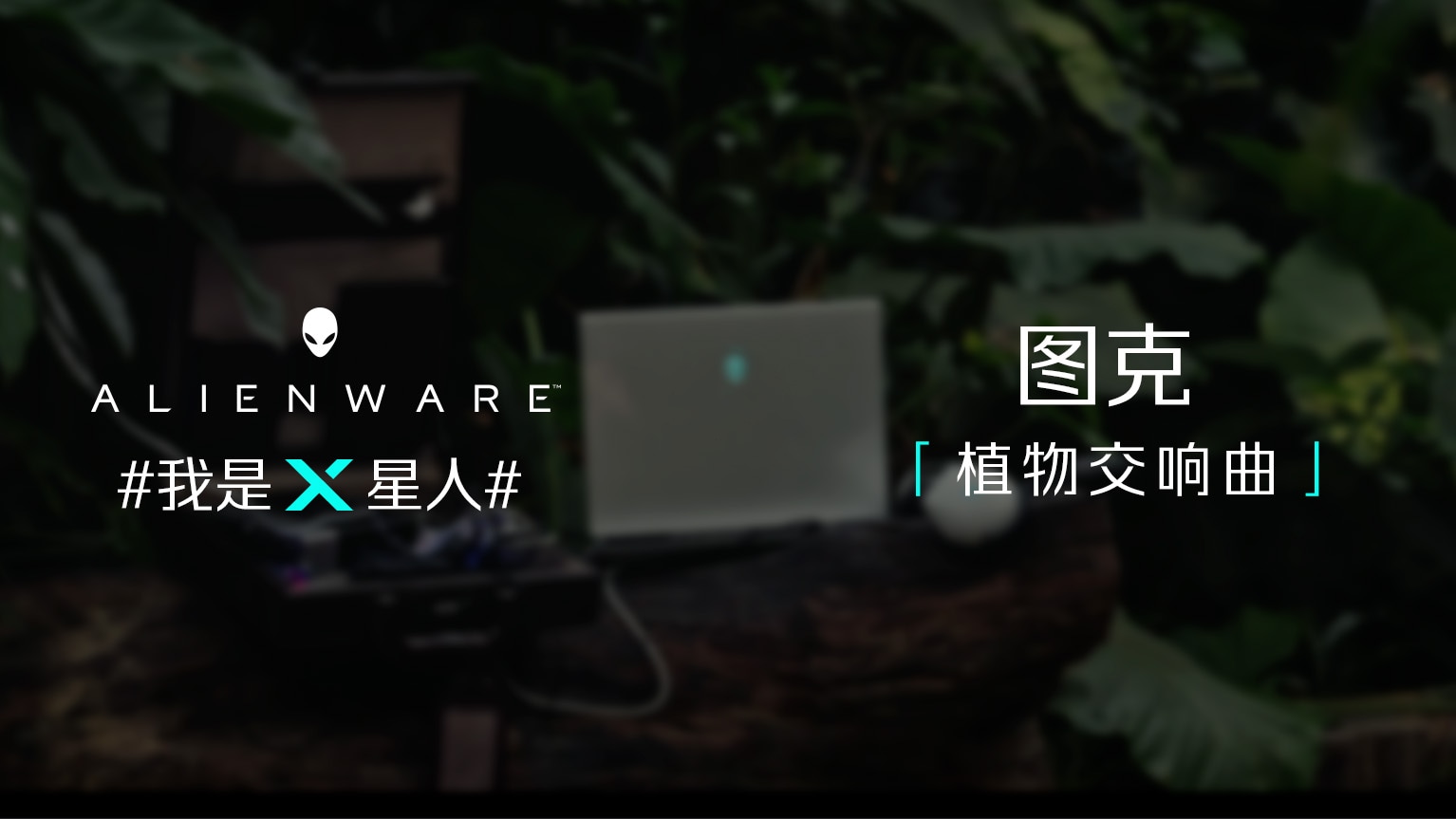 图克 植物交响曲