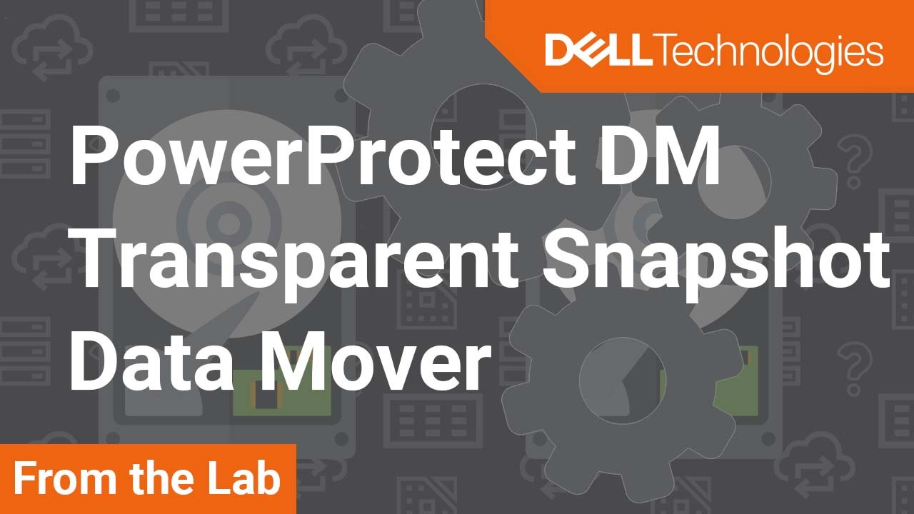 How to use Transparent Snapshot Data Mover (TSDM) for PowerProtect Data Manager 19.9