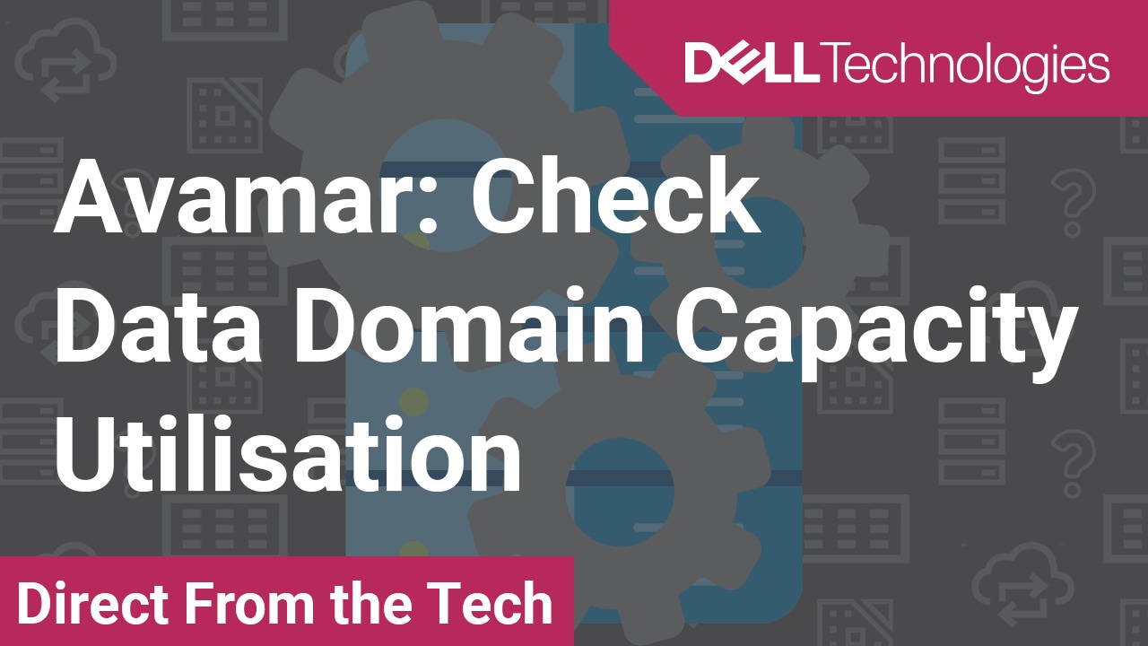 Como verificar a utilização da capacidade do Data Domain para o Avamar