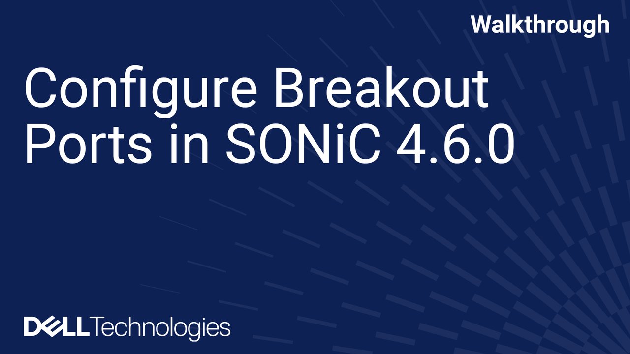 Configure Breakout Ports in SONiC 4.6.0