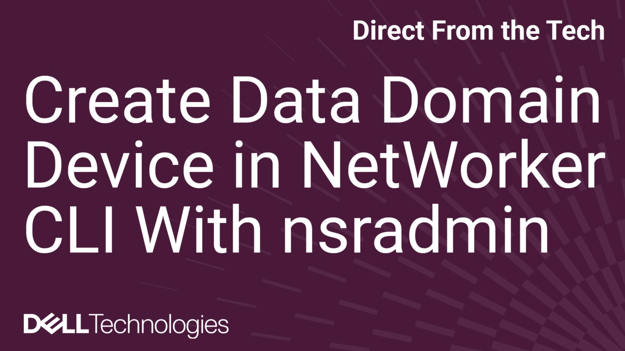 Data Domain Device Creation via Command Line Interface on Dell NetWorker