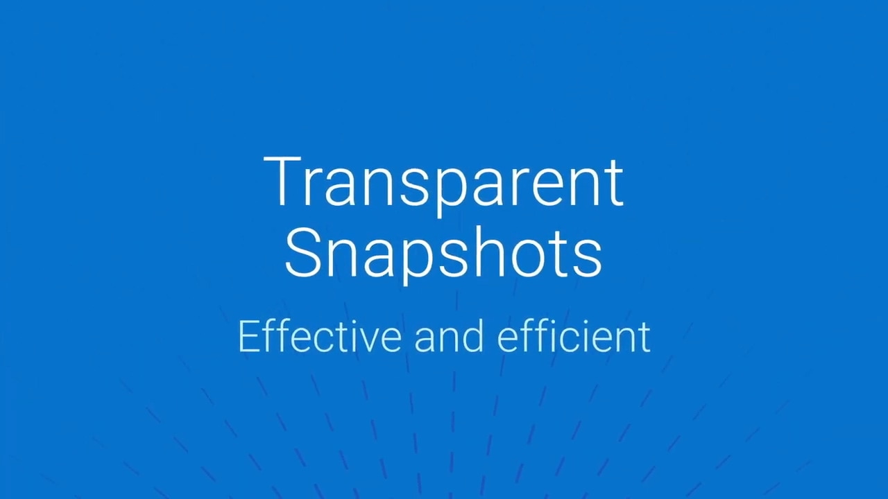 Transparent Snapshots with PowerProtect Data Manager Overview