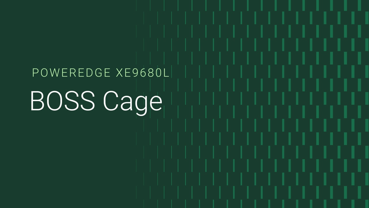 PowerEdge XE9680L에서 BOSS 케이지를 교체하는 방법