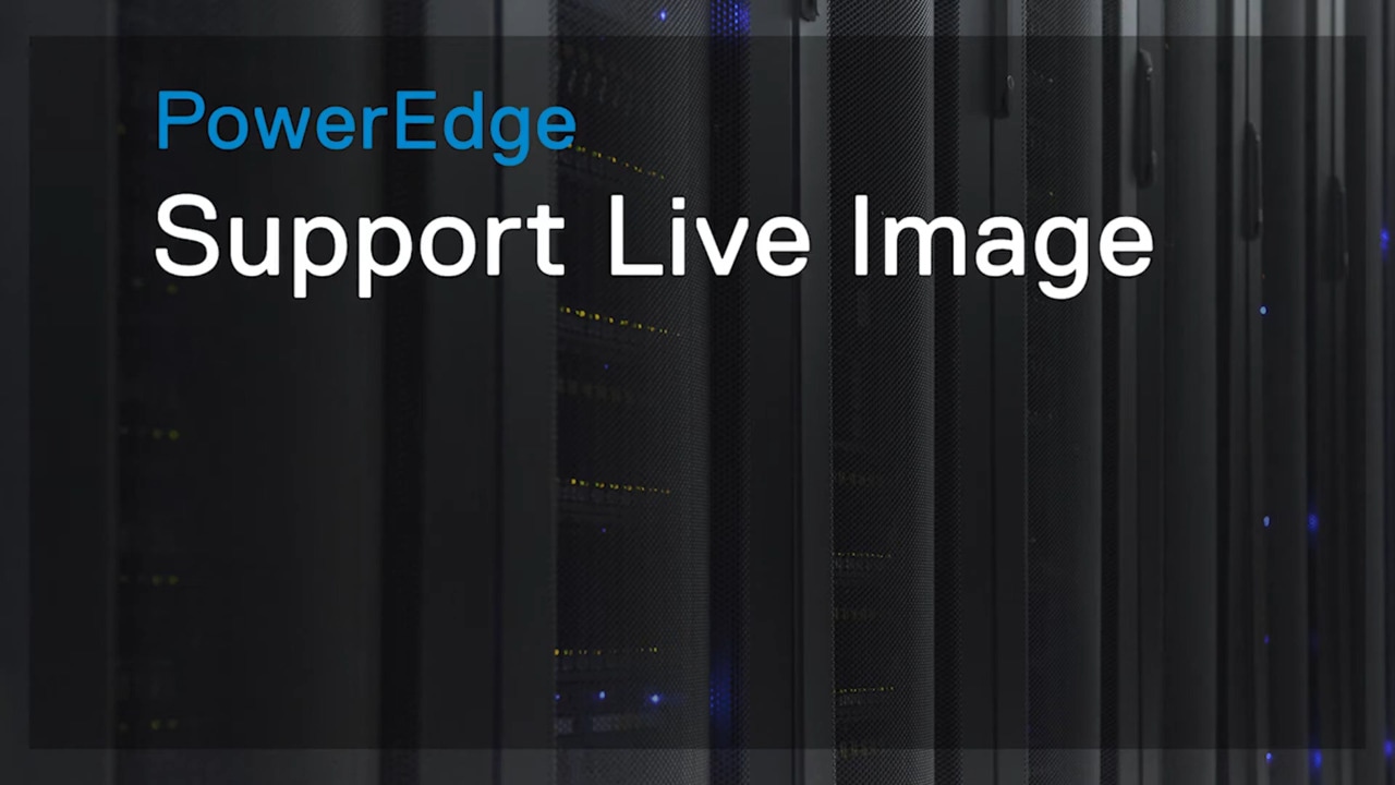 Download and Boot the Support Live Image for PowerEdge Servers