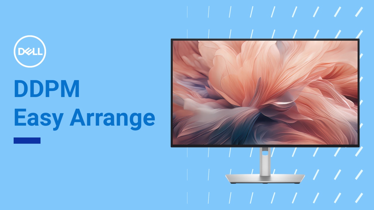 Dell Display and Peripheral Manager | Easy Arrange