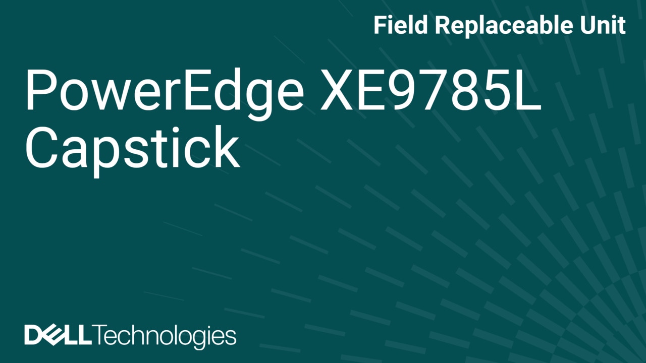 How to Replace Capsticks in XE9785L