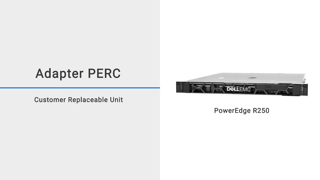 How to replace the adapter PERC module on a Dell EMC PowerEdge R250?