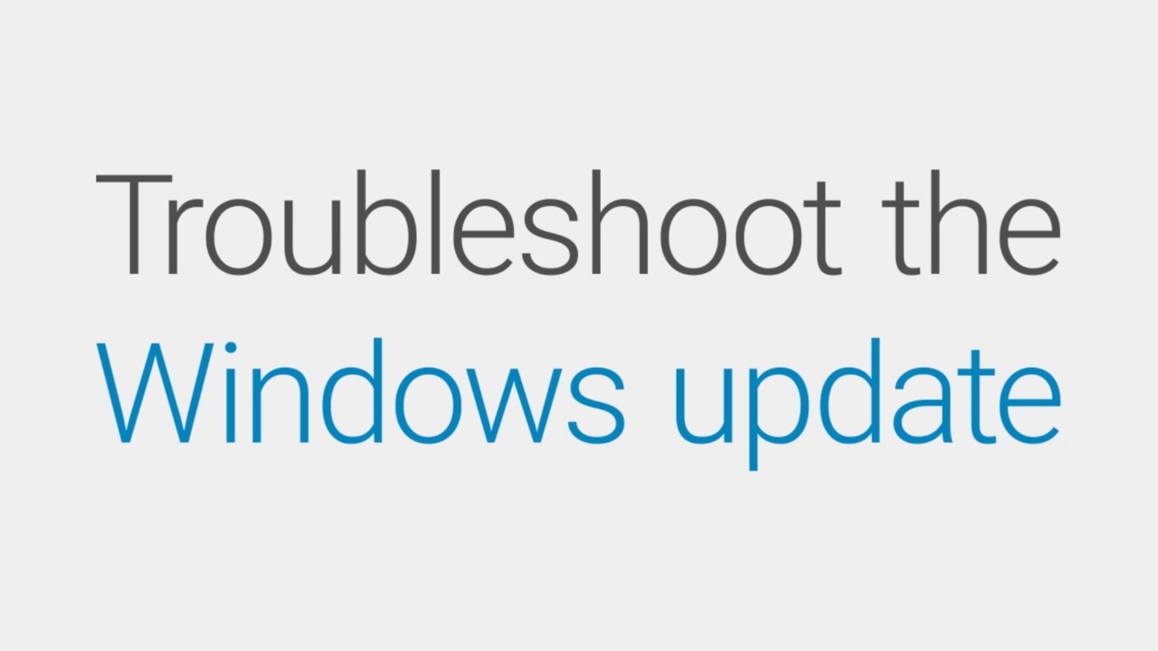 Troubleshoot the windows update