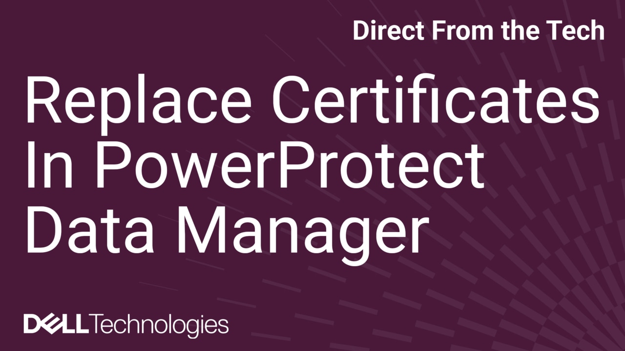 How to Replace Private and Public Certificates in PowerProtect Data Manager UI