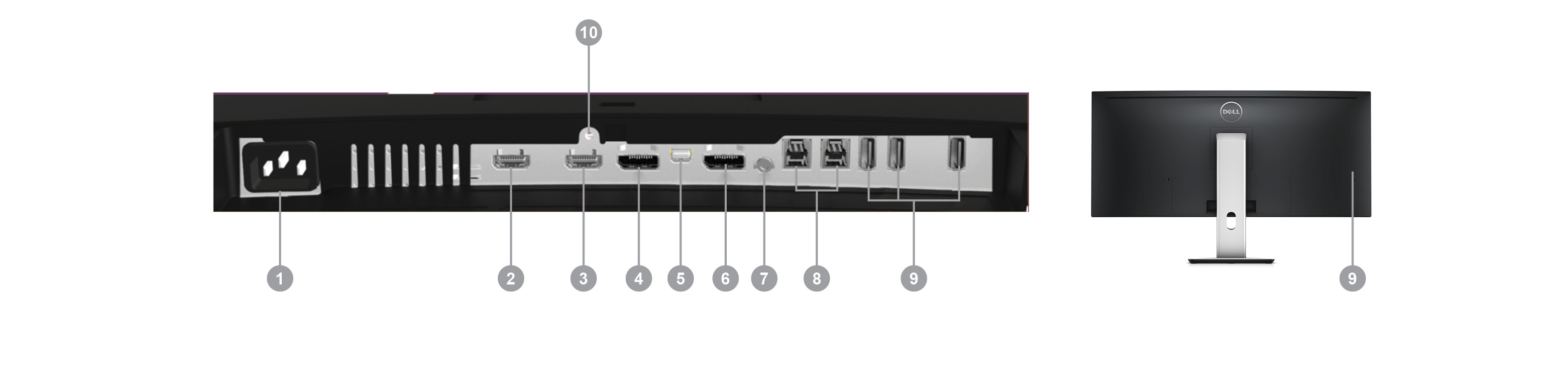 ultrasharp 34 (u3415w) monitor - Connectivity Options