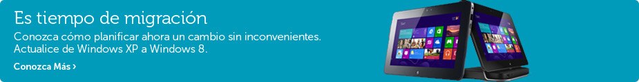 Windows 8