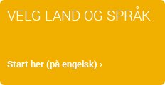 Soke Jobb Dell Norge
