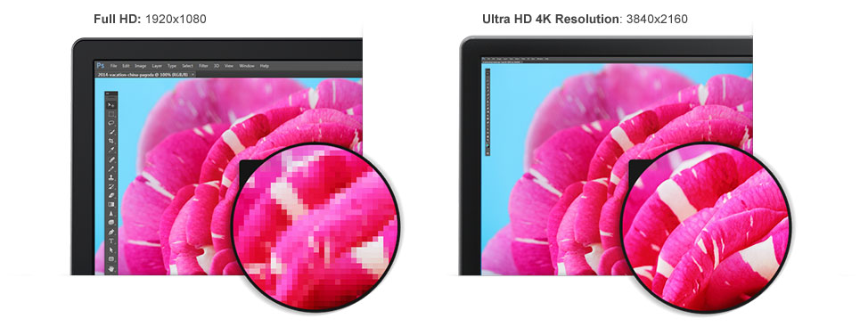 Màn hình LCD Dell P2415Q 24 inch Ultra HD 4K - Mua bán màn hình máy tính