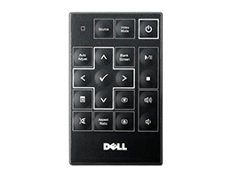 Remote Controls & Pointers