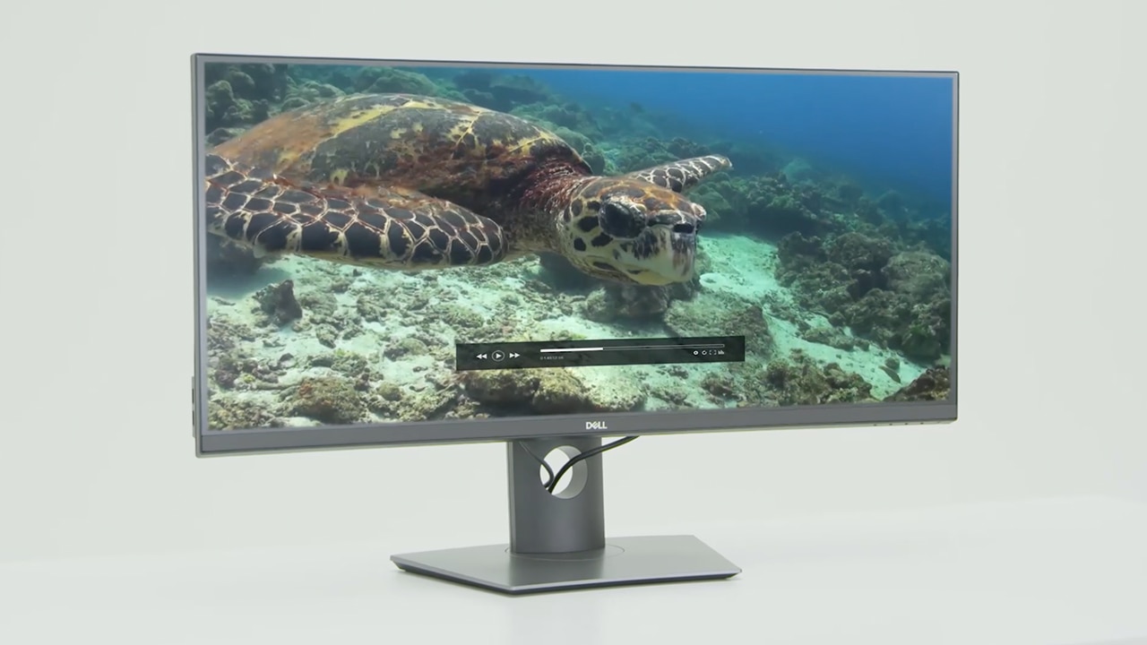 Dell 34 Curved Monitor P3418HW Dell United States